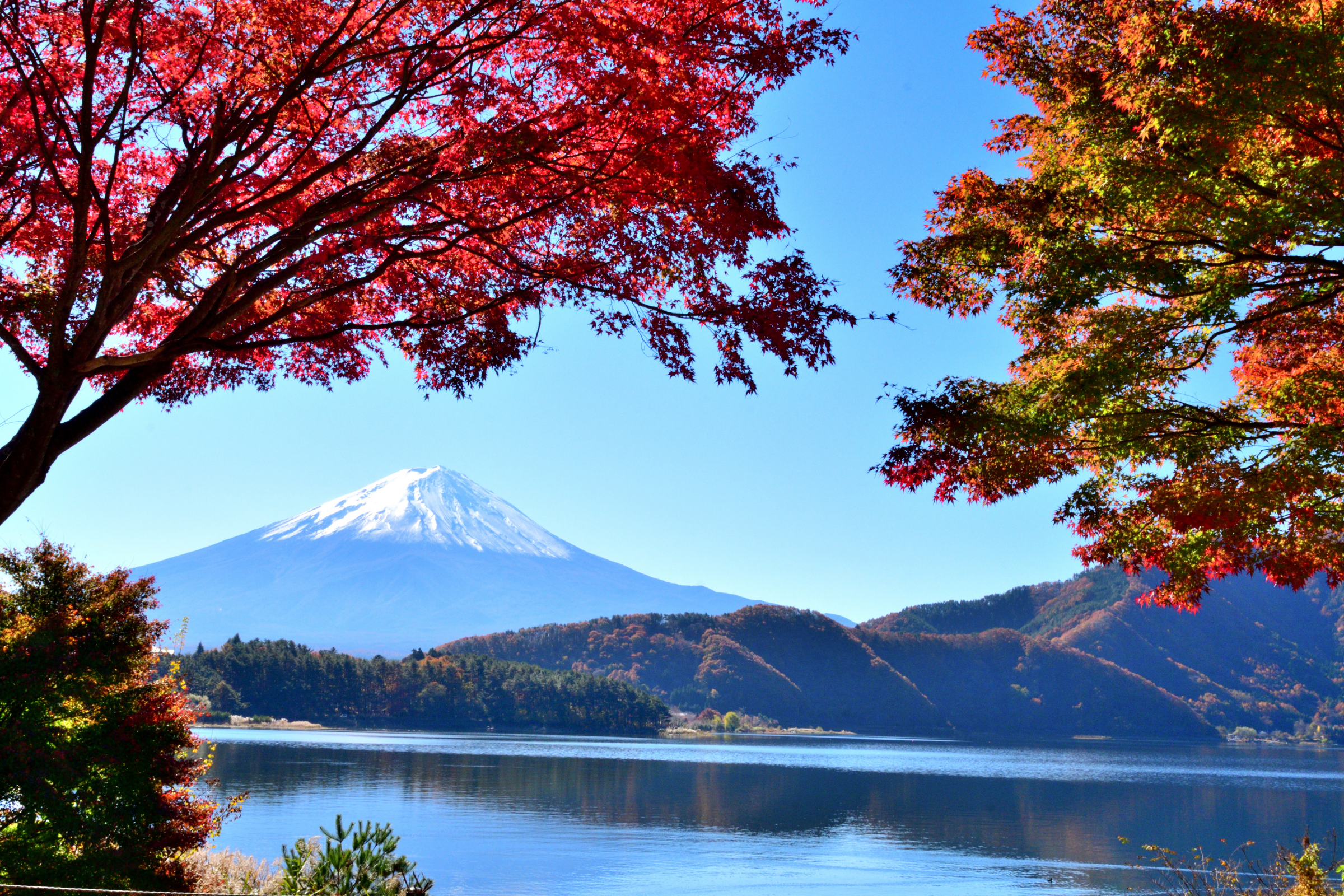 fuji five lakes.webp